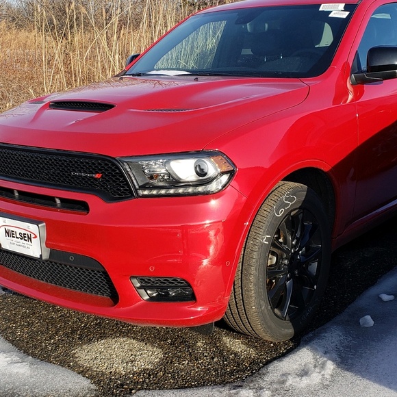 Meet your Posher, Alydar - Picture 1 of 1